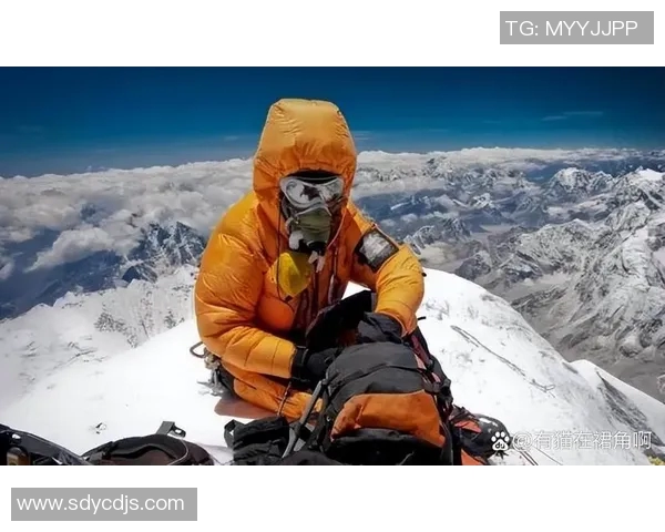 史鸿飞的传奇人生与不凡成就探索之旅